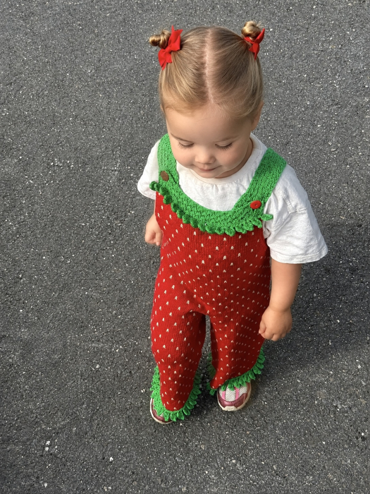 Strawberry Bukse by Ingrid Raadim X HOY IR 07-03