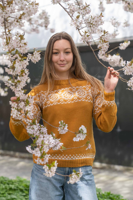 Jutul Genser Honninggul